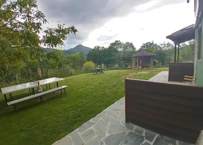 Estudios El Puntual De *