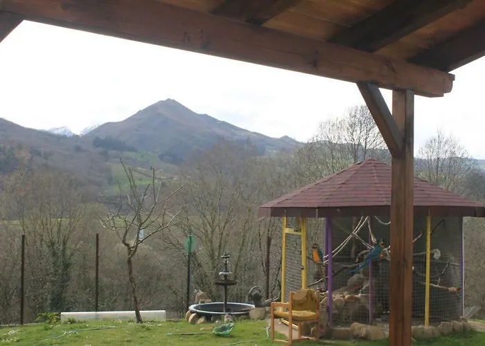 Estudios El Puntual De