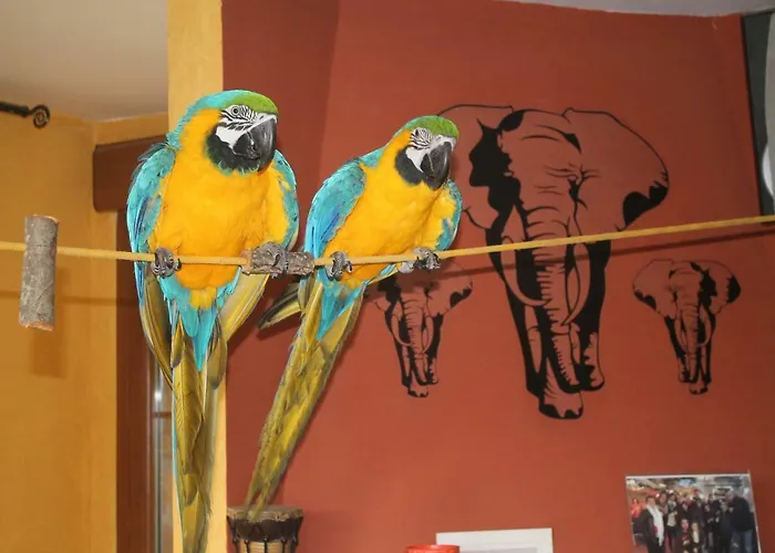 Estudios El Puntual De Romillo