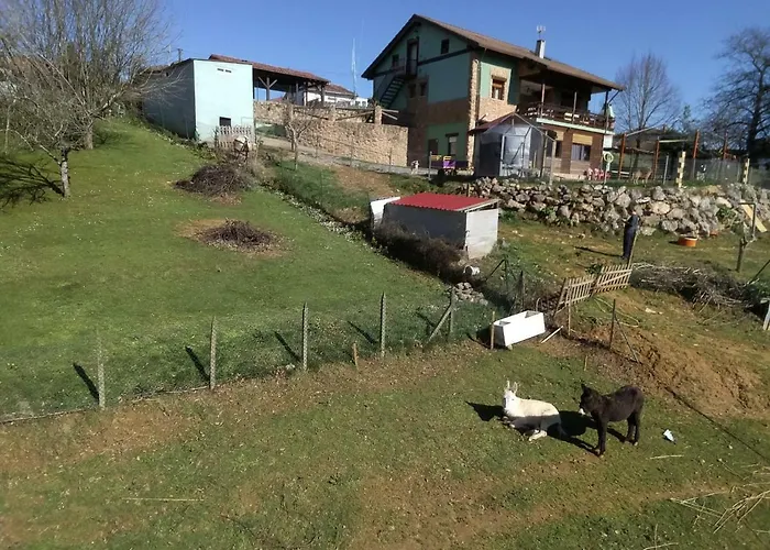 Estudios El Puntual De